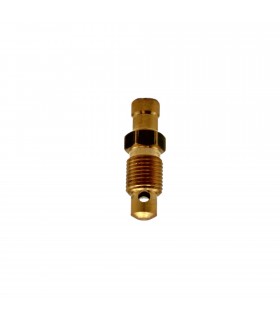 Vis de purge de pompe à eau (Moteur 1600cm³ et V6 PRV) - Réf 0608561800 / 7700268262 - 1