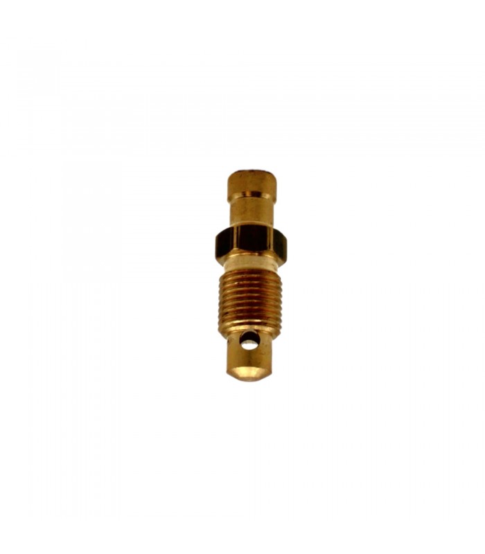 Vis de purge de pompe à eau (Moteur 1600cm³ et V6 PRV) - Réf 0608561800 / 7700268262 - 1