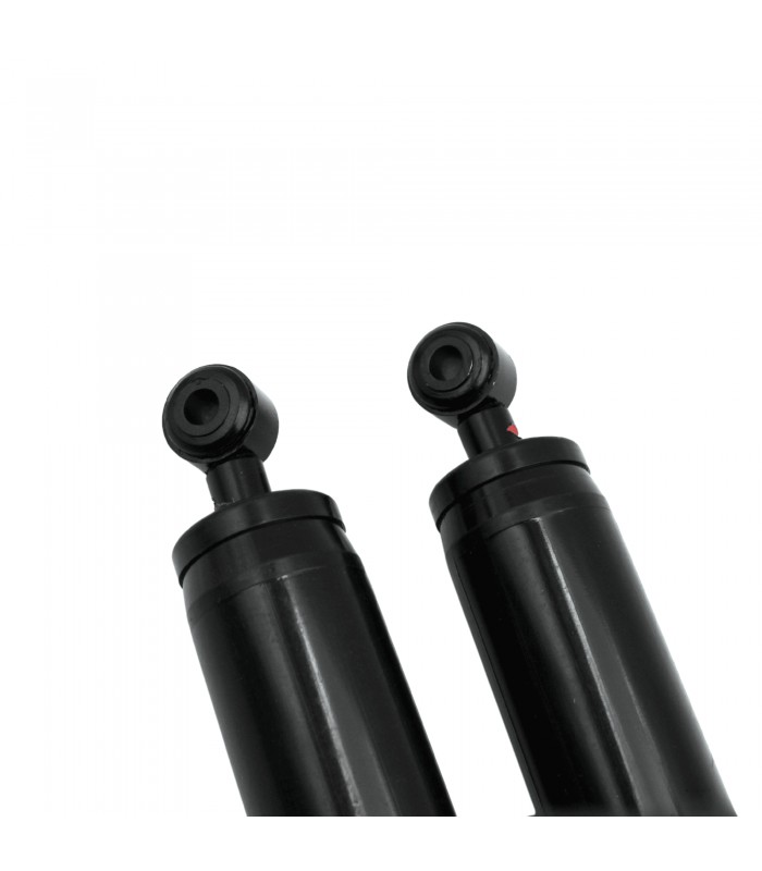 Pair of Rear Shock Absorbers / Maxigaz - R4 / 4L - (From 1961 to 09/1968) - 3