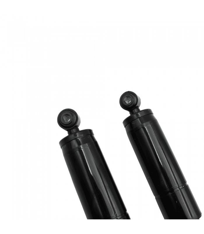 Pair of Rear Shock Absorbers (Rod / Eye) Original Type - R4 / 4L - RODEO - 3
