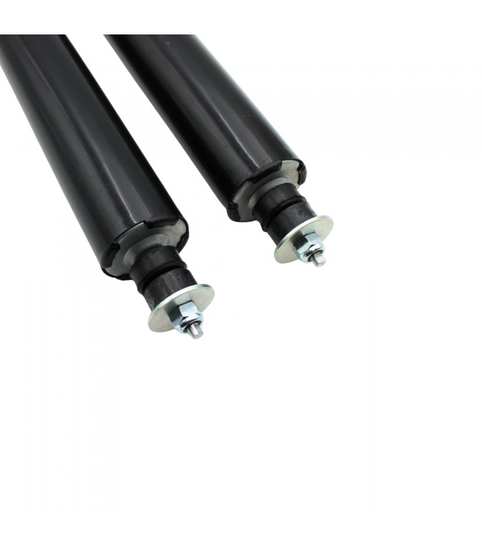Paire d'amortisseurs Arrière (Tige / Œil ) Type Origine - R5 LS / TS / TX - R14 - 2