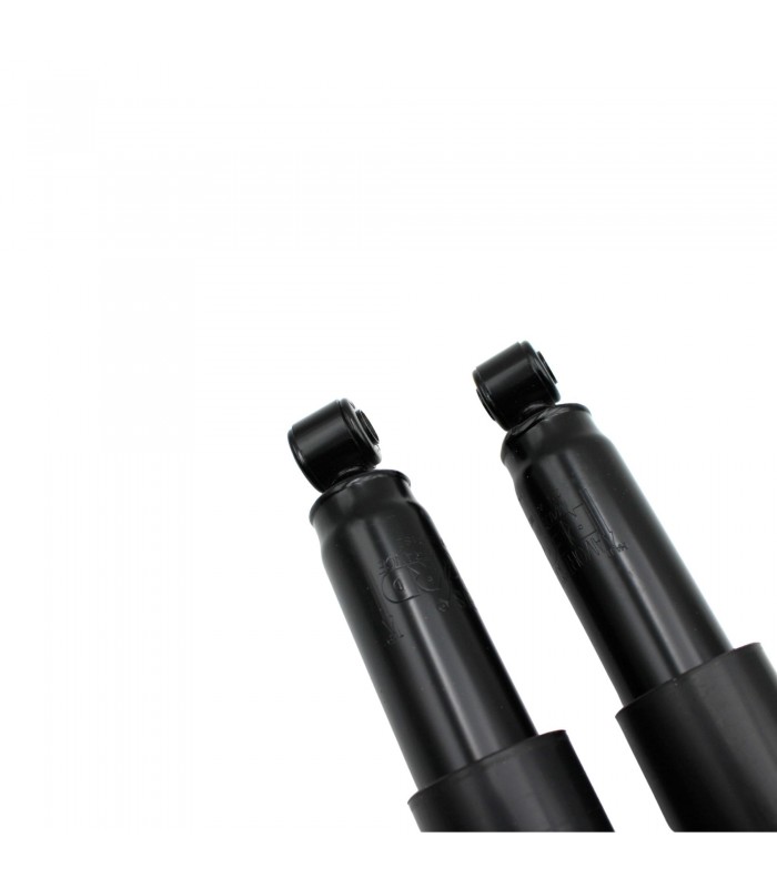 Paire d'amortisseurs Arrière (Tige / Œil ) Type Origine - R5 LS / TS / TX - R14 - 3