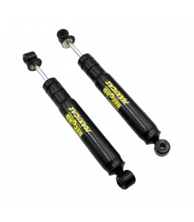 Paire d'amortisseurs Arrière / Conduite sportive - Super 5 GT Turbo (Phase 1 / Phase 2) - GTE (à partir de 1987) - 1