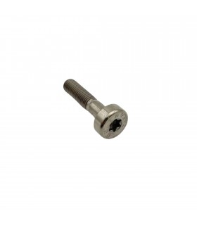 Cylindrical screw for GOTTI SX rim - 1