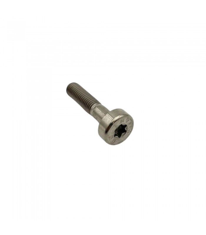 Cylindrical screw for GOTTI SX rim - 1