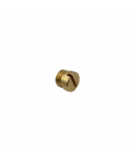 Bouchon pour trou de progression pour carburateur WEBER 40DCOE et 45DCOE - 1