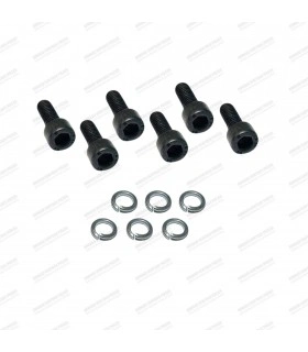 Kit de x6 vis et x6 rondelles de fixation de mécanisme d'embrayage à glace pour butée graphité - 1