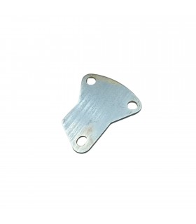 Gasoline pump blanking plate