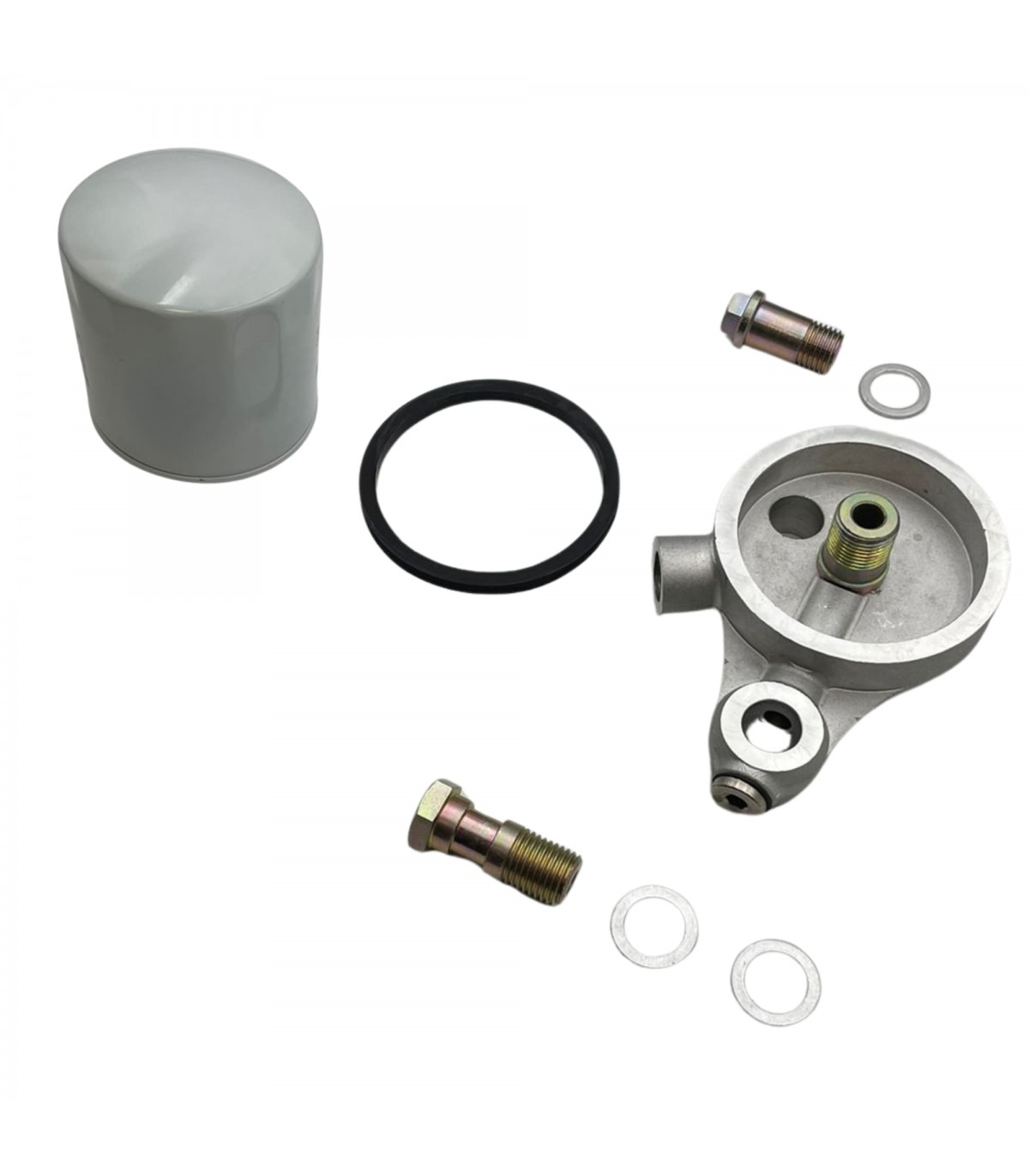 Oil filter bracket with filter, gaskets and 2 banjo fixing screws - Ventoux Type 670 engine - 1