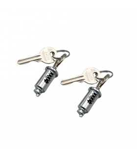 Paire de barillets de porte avant ou de capot - 4CV / Dauphine - 2