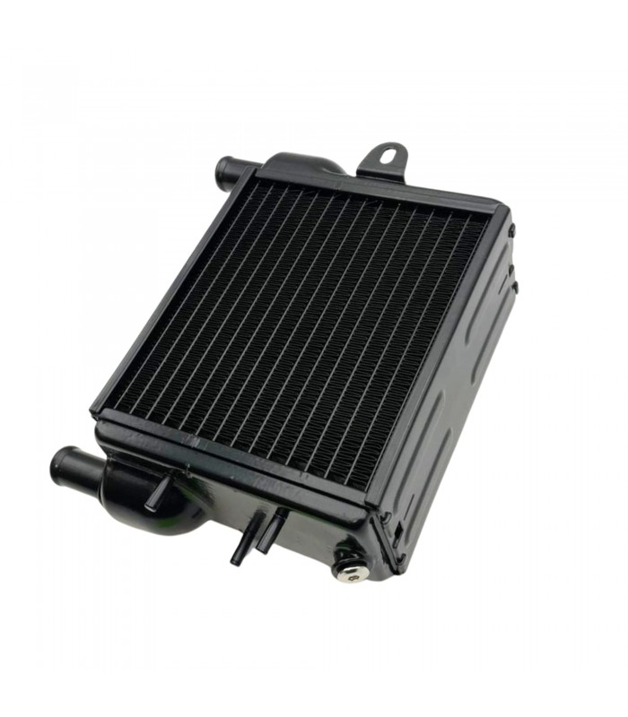 Radiateur de Chauffage type "Sofica" - Dauphine / Floride - 2