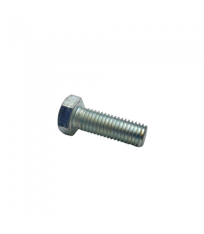 Vis M12 pour fixation de poulie de vilebrequin - Moteur 1289cm³ (Type 810-..) - 2
