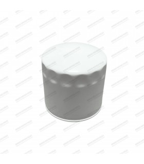 Oil filter (M5/8"-18UNF) - 1