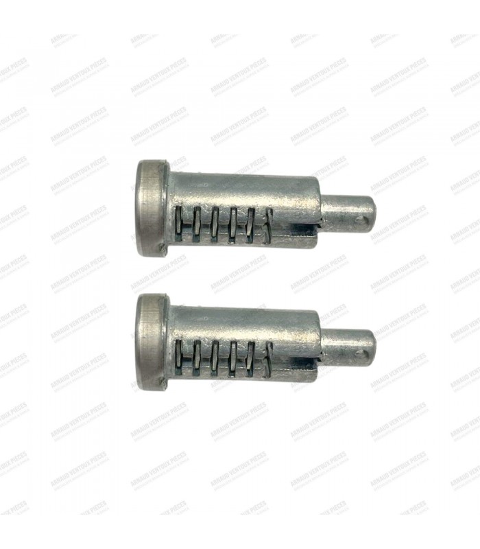 Kit of 2 front or rear door lock cylinders with keys - R4 (All models) - 3