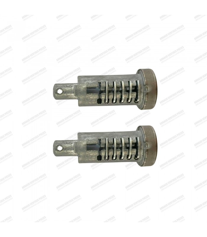 Kit of 2 front or rear door lock cylinders with keys - R4 (All models) - 2