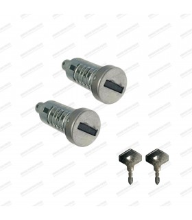 Kit of 2 front or rear door lock cylinders with keys - R4 (All models) - 1