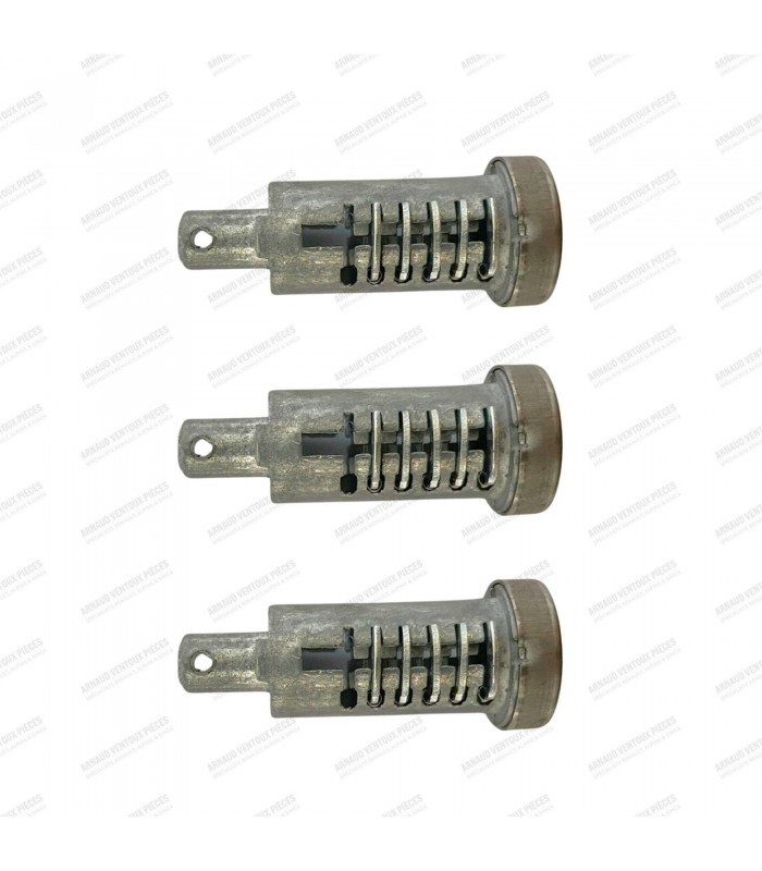 Set of 3 front or rear door lock cylinders with keys - R4 (All models) - 2