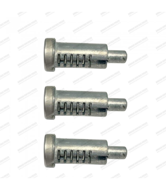 Set of 3 front or rear door lock cylinders with keys - R4 (All models) - 3
