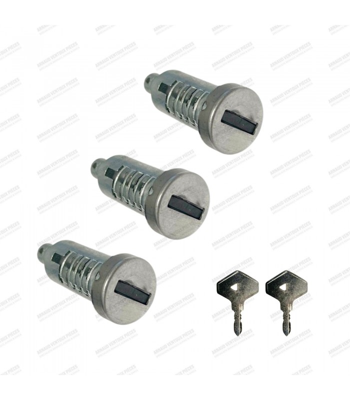 Set of 3 front or rear door lock cylinders with keys - R4 (All models) - 1