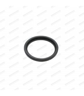 Intake manifold gasket - Part number 6000004792 - 1