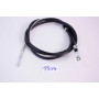 Clutch cable - 1
