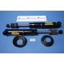 Pair of "Maxi Gas" rear shock absorbers - A310.4 (From 1971 to 05/1976) - 1