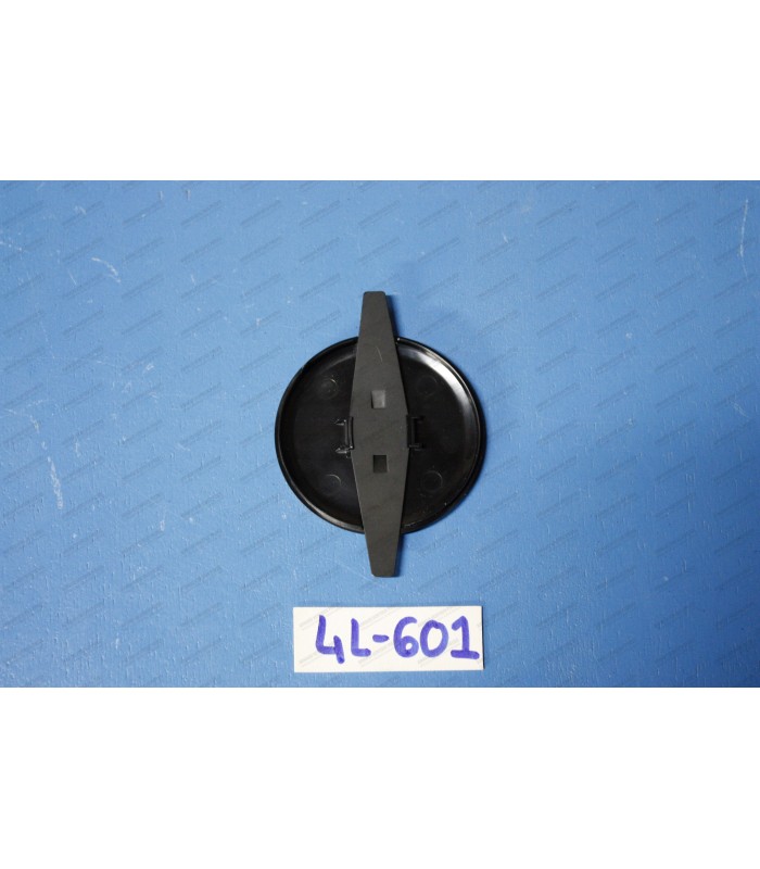 Wheel Center / Plastic Hub Cover - R4L - 2