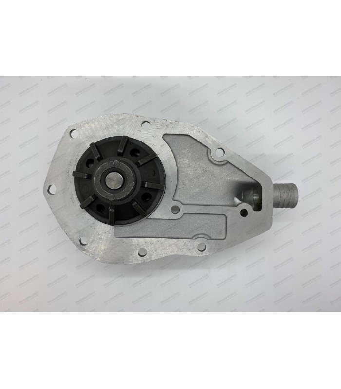 Water pump with seal - R8 - ref: 9806905 - 2