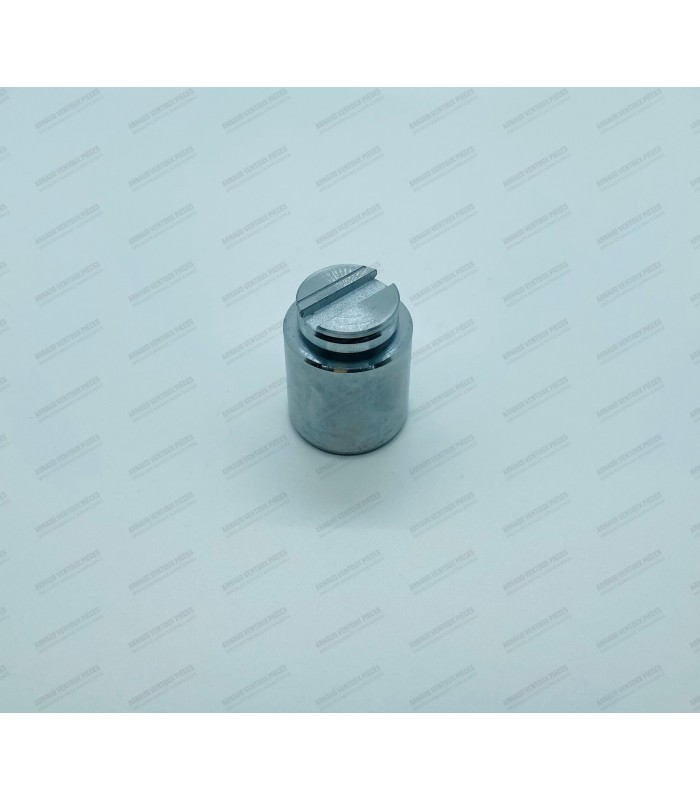 Piston d'étrier arrière Ø 36mm - R5 Alpine Turbo (122B) / R12.G - 1