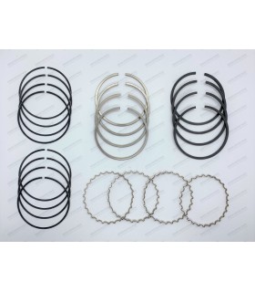 Set of 12 segments Ø70mm - 2Cx2x3.5 - 1