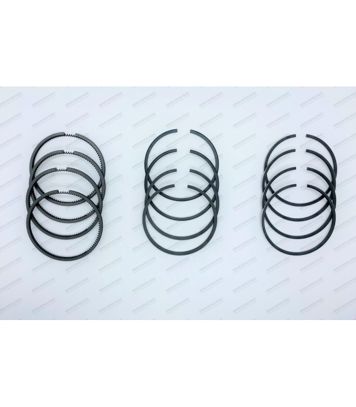 Set of 12 segments Ø 65mm - 1.75x2x3.5 - 1