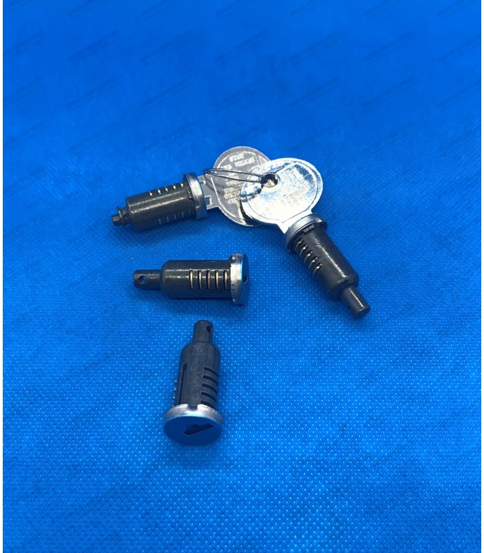 Barillets de porte et de coffre (4 pièces) R4 / R12 / R15 / R17 réf 7701029068 (x3
