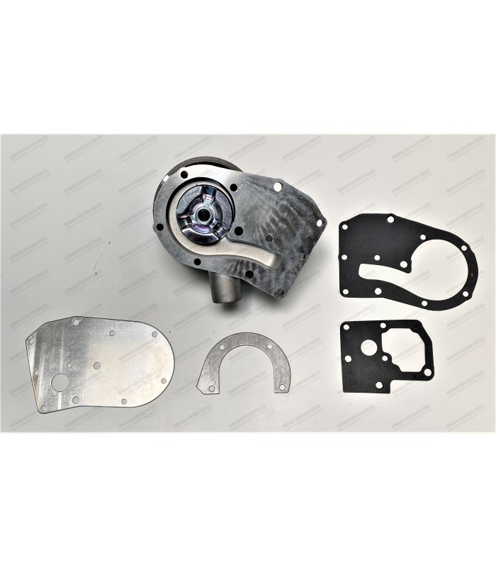 Dauphinoise water pump complete - 2