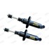 Pair of "Maxi Gas" rear shock absorbers - R5 Turbo 2 (From 1982 to 1985) - 1