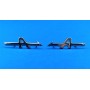 Pair of "A" arrows for right and left fenders - ref 6000000376/ 375 - 1