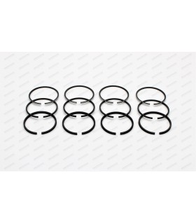 Set of 12 segments Ø58mm - 2Cx2x3.5R - 1