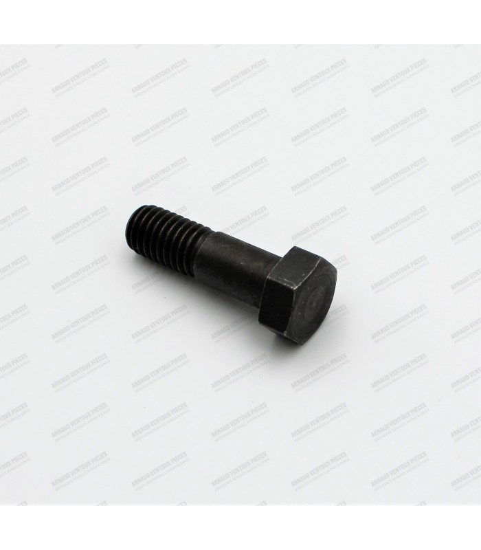 Connecting rod screw - 1