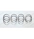 Set of 12 segments Ø 58mm - 1.75Cx2x3.5 R - 1