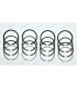 Set of 16 segments Ø58mm - 2Cx2x2x3.5R
