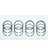 Set of 12 segments Ø60 - 904CC - thickness 1.5x1.5x3