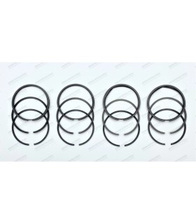Set of 12 segments Ø60 - 904CC - thickness 1.5x1.5x3