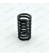Valve spring (Ventoux 670-1 engine) - 1