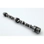 Road and rally camshaft (standard exchange) - 2