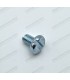 Screw for fixing platinized screws in Ducellier lighter