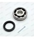 Wheel shaft bearing 7 balls with oil seal - 25x68x19 - 1