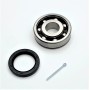 Wheel shaft bearing 7 balls with oil seal - 25x68x19 - 1