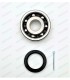 Wheel shaft bearing 7 balls with oil seal - 25x68x19 - 2