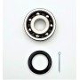 Wheel shaft bearing 7 balls with oil seal - 25x68x19 - 2