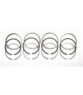 Set of 12 segments "Repair dimension" Ø 77.10mm - 1.75x2x4 - R1 / R2 / R3 - 2