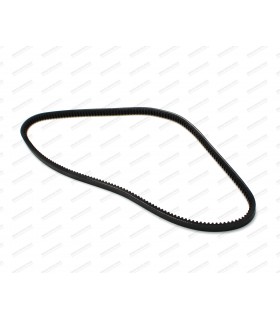 Water pump and alternator belt - ref 30405T